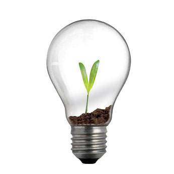 Ampoule électrique abritant une jeune pousse verte, symbole d'énergie durable