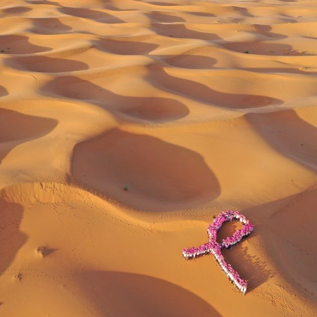 Sponsors "Le Trophée Roses des Sables"